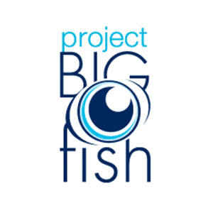 big-fish